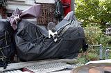 20050902_Kitty Kat_053